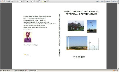 Wind Turbines: Description, Appraisal & Alternatives